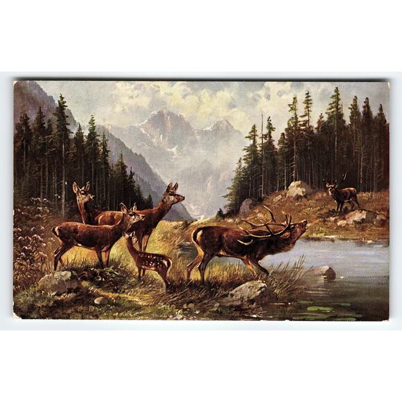 Muller Signed Original Artist Postcard of Deer in Mountain Landscape - Picture 1 of 2